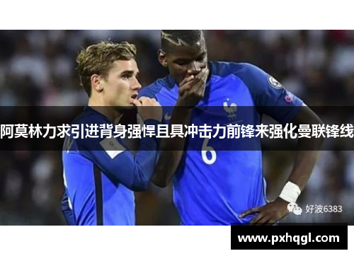 阿莫林力求引进背身强悍且具冲击力前锋来强化曼联锋线